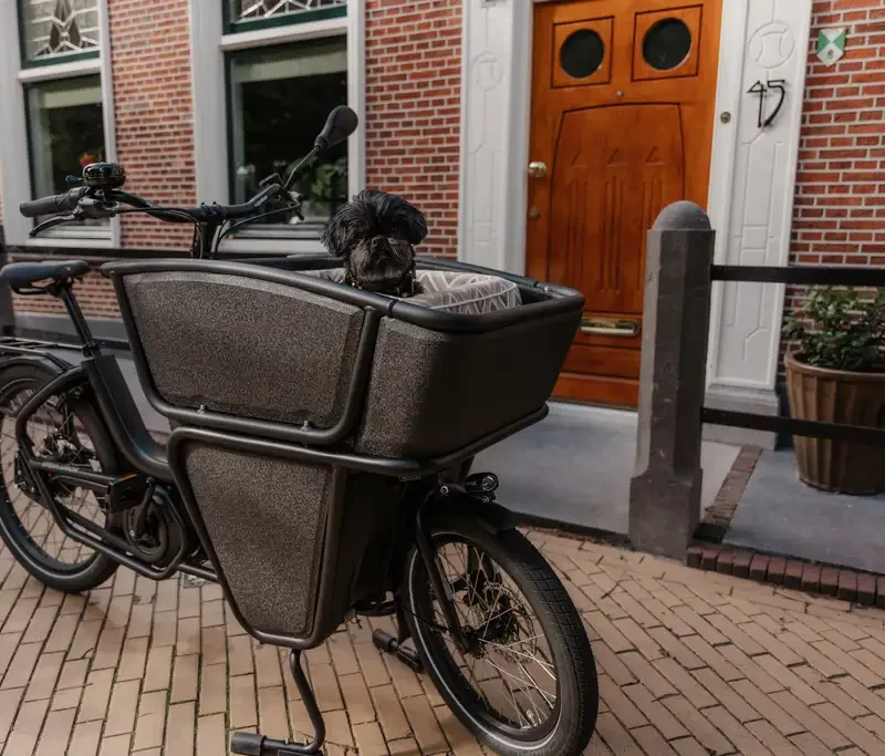 Hondenkussen (Urban Arrow Shorty)